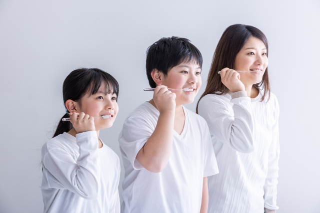 歯磨きをする親子　teeth
